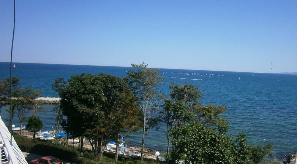 Изглед към морето през дърветата